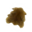 Albino Crocodile Skin